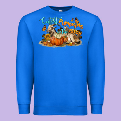 Cutest Pumpkin In The Patch Premium Sweatshirt Designed By Lillyallendesigns