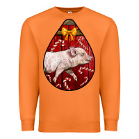 Carrot christmas pig Premium Sweatshirt - LillyAllenDesigns