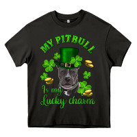Asphalt St. Patrick's Day My Pitbull Is My Lucky Charm With Hat Heavy Core Tee - RanaPortraitStore