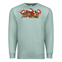 Seafoam christmas red angus cows Premium Sweatshirt - LillyAllenDesigns