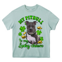 Arona St. Patrick's Day My Pitbull Is My Lucky Charm Heavy Core Tee - RanaPortraitStore
