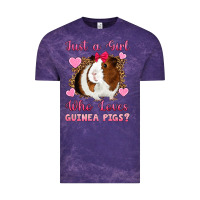 Cloud Purple Just A Girl Love Who Loves Guinea Pigs Vintage Tee - Artiststas