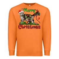 Carrot maine coon cat merry christmas Premium Sweatshirt - LillyAllenDesigns