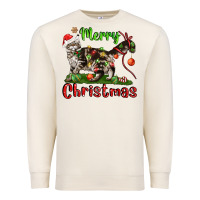 Sandshell maine coon cat merry christmas Premium Sweatshirt - LillyAllenDesigns