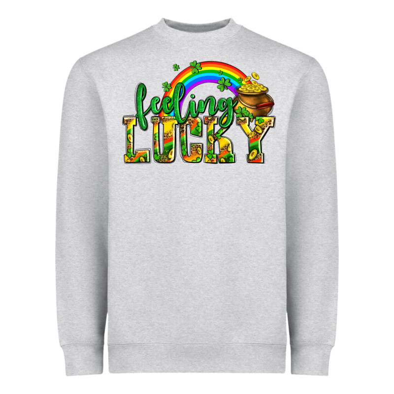 Feeling Lucky With Coins Heavyweight Sweatshirt by AdoDesignShop | Teevron