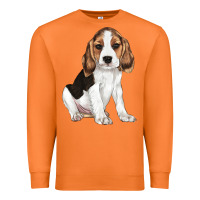 Carrot beagle puppy Premium Sweatshirt - LillyAllenDesigns