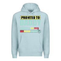 Blue Mist Promoted To Daddy Est 2020 Premium Hoodie - Bettercallsaul