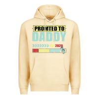 Pina Colada Promoted To Daddy Est 2020 Premium Hoodie - Bettercallsaul