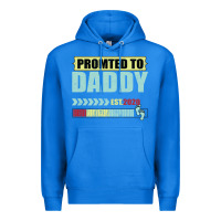 True Royal Promoted To Daddy Est 2020 Premium Hoodie - Bettercallsaul