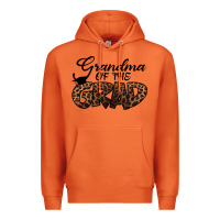 Carrot Back to School I m Graduation Grandma Of The Grandma Premium Hoodie - Bettercallsaul