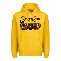Back To School I M Graduation Grandma Of The Grandma Premium Hoodie | Teevron