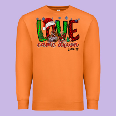 Love Came Dow Christmas Premium Sweatshirt Designed By Racoondesign