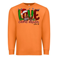Carrot love came dow christmas Premium Sweatshirt - RacoonDesign