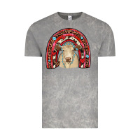 Cloud Rock valentines charolais  rainbow Vintage Tee - JahusDesignShop