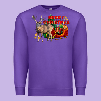 Merry Christmas Deer Premium Sweatshirt Designed By Lillyallendesigns