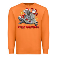 Carrot Merry Christmas Tortoise And Koala Premium Sweatshirt - LillyAllenDesigns