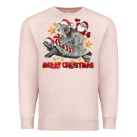 Pale Pink Merry Christmas Tortoise And Koala Premium Sweatshirt - LillyAllenDesigns