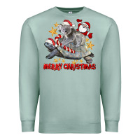 Seafoam Merry Christmas Tortoise And Koala Premium Sweatshirt - LillyAllenDesigns