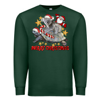 Sports Green Merry Christmas Tortoise And Koala Premium Sweatshirt - LillyAllenDesigns