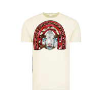 Vintage Arctic valentines simmental  rainbow Vintage Tee - JahusDesignShop