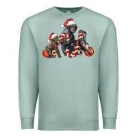Seafoam christmas chimpanzee and gorilla Premium Sweatshirt - LillyAllenDesigns