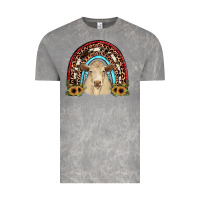 Cloud Rock charolais  rainbow Vintage Tee - JahusDesignShop