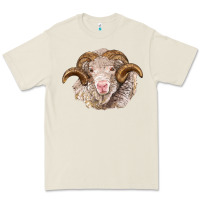 Bone merino wool ram Premium Tee - BarkalooDesign