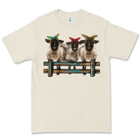 Bone 3 sheeps suffolk ewe with bandanas and fence Premium Tee - BarkalooDesign