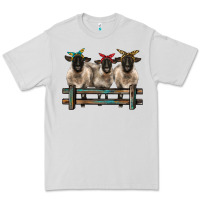 Dove Grey 3 sheeps suffolk ewe with bandanas and fence Premium Tee - BarkalooDesign