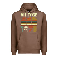 Chestnut Vintage Classics 1973 Premium Hoodie - Bettercallsaul