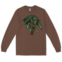 Chestnut Amazon Elephant Ear Long Sleeve Tee - LillyAllenDesigns