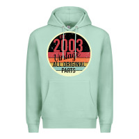 Seafoam 16th Birthday gift Vintage 2003 Premium Hoodie - Bettercallsaul