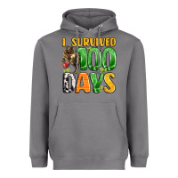 Storm dinosaur 100day celebration Heavyweight Hoodie - LillyAllenDesigns