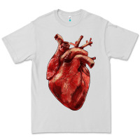 Dove Grey Anatomical heart Premium Tee - RanaPortraitStore