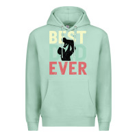 Seafoam Best Dad Ever Premium Hoodie - Bettercallsaul