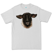 Dove Grey suffolk ewe head Premium Tee - BarkalooDesign