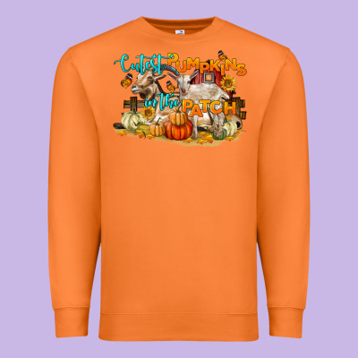 Cutest Pumpkin In The Patch Premium Sweatshirt Designed By Lillyallendesigns