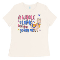 Bone a whole llama learning going on Ladies Tee - MaliasSmallBusiness