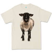 Bone suffolk ewe front Premium Tee - BarkalooDesign