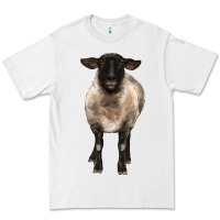 White suffolk ewe front Premium Tee - BarkalooDesign