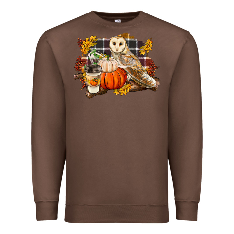 Fall Barn Owl Premium Sweatshirt by LillyAllenDesigns | Teevron