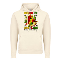 Vintage Artic celebrate juneteenth know your history Vintage Hoodie - HRA Design Shop