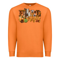 Carrot Fall Vibes Boer Goat Premium Sweatshirt - LillyAllenDesigns