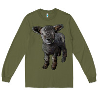 Army Green southdown baby sheep Long Sleeve Tee - LillyAllenDesigns