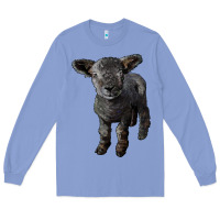 Colony Blue southdown baby sheep Long Sleeve Tee - LillyAllenDesigns