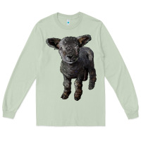 Matcha southdown baby sheep Long Sleeve Tee - LillyAllenDesigns