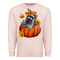 Pale Pink Fall Pumpkin Raccoon Premium Sweatshirt - LillyAllenDesigns