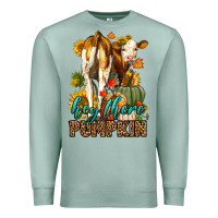Seafoam Hey There Pumpkin Fall Premium Sweatshirt - LillyAllenDesigns