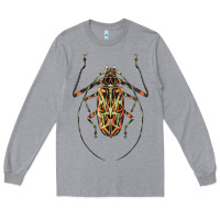 Heather Grey Acrocinus Beetle Illustrations Long Sleeve Tee - LillyAllenDesigns