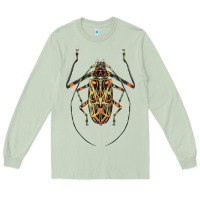 Matcha Acrocinus Beetle Illustrations Long Sleeve Tee - LillyAllenDesigns